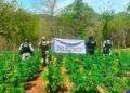 Morón teje la red política en Michoacán: unidad forzada y respaldo a Sheinbaum como bandera de cara a la coordinación estatal