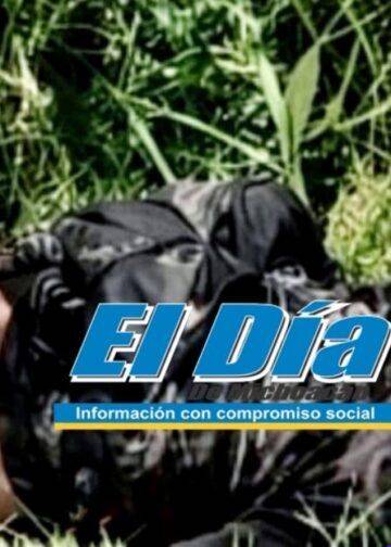 Suspensión de USDA en Michoacán paraliza industria del aguacate y genera pérdidas millonarias