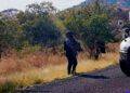 Operativo de seguridad deriva en enfrentamiento armado en la carretera a Acahuato de Apatzingán; saldo blanco, sin detenidos