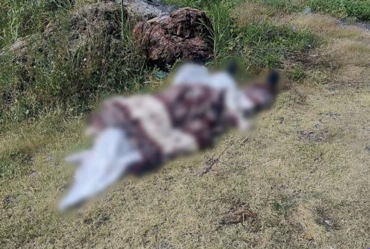 Continúa la ola de crímenes en Apatzingán: suman 22 hechos violentos en septiembre