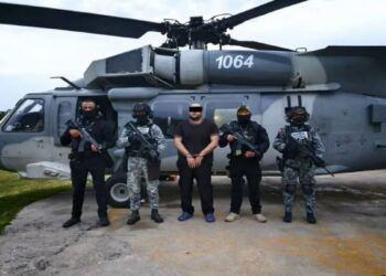 FGE rescata a mono araña mantenido en cautiverio durante cateo en Apatzingán; activan protocolo de protección animal