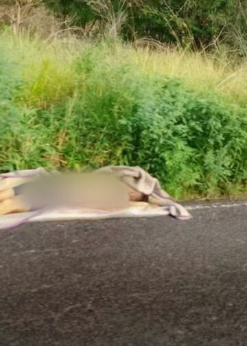 Detienen a tres presuntos extorsionadores de aguacateros en Salvador Escalante; entre ellos “El Kamikaze”