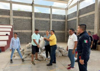 FGE rescata a mono araña mantenido en cautiverio durante cateo en Apatzingán; activan protocolo de protección animal