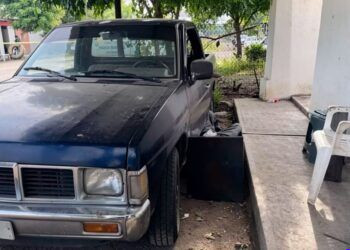 FGE rescata a mono araña mantenido en cautiverio durante cateo en Apatzingán; activan protocolo de protección animal