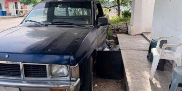 FGE rescata a mono araña mantenido en cautiverio durante cateo en Apatzingán; activan protocolo de protección animal