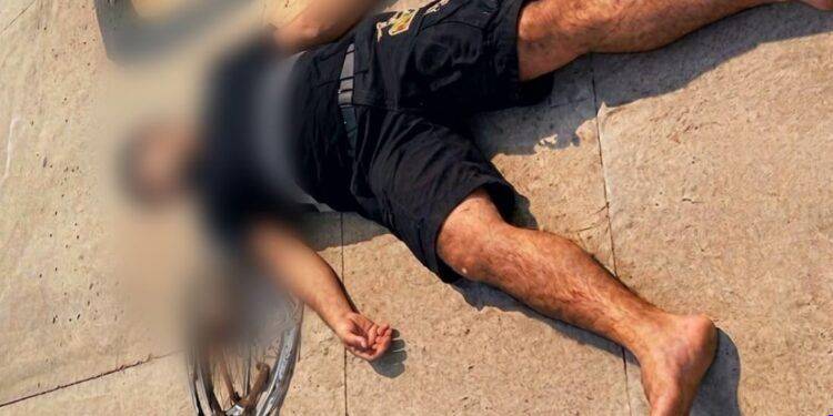 FGE rescata a mono araña mantenido en cautiverio durante cateo en Apatzingán; activan protocolo de protección animal