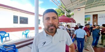 Borrador automático