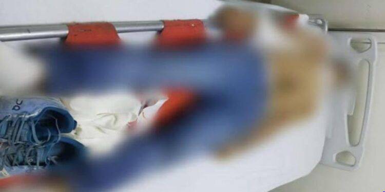 Muere Joven tras ataque armado dentro de una carnicería en el Mercado de Apatzingán; la Fiscalía investiga posible deuda de narcótico, más no descarta ninguna otra línea