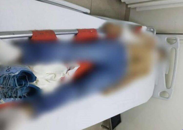 Muere Joven tras ataque armado dentro de una carnicería en el Mercado de Apatzingán; la Fiscalía investiga posible deuda de narcótico, más no descarta ninguna otra línea